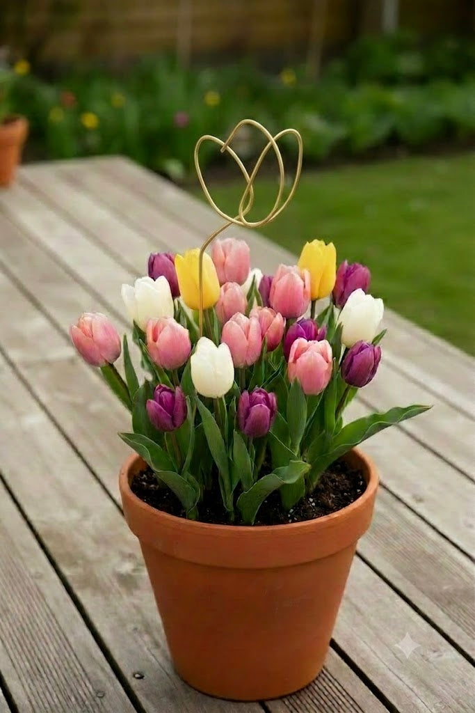 Flower Friend - Wire plant pot decoration - Bee, Flower and Butterfly